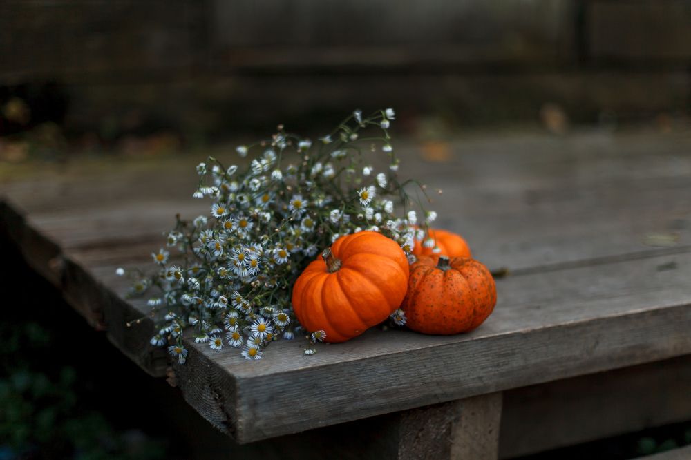 Photograph by Ольга Тучкова