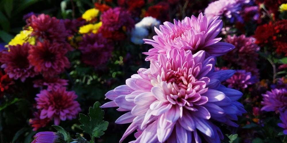 Photograph by Mitul Mistry