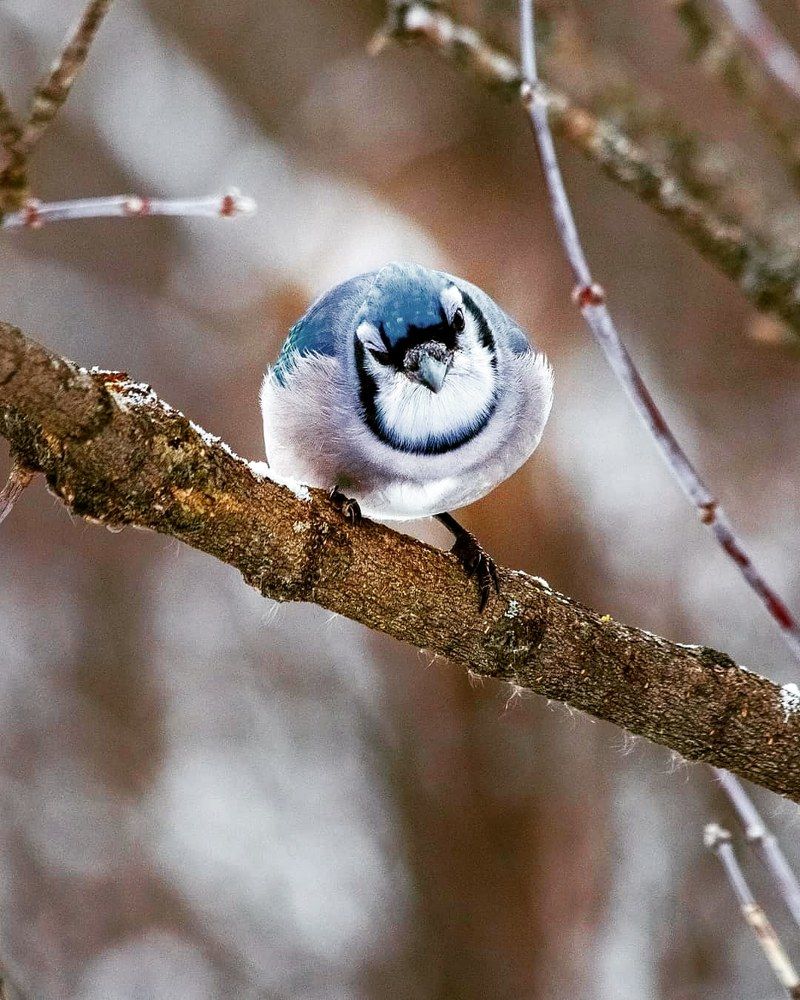 Photograph by Mauro Horta