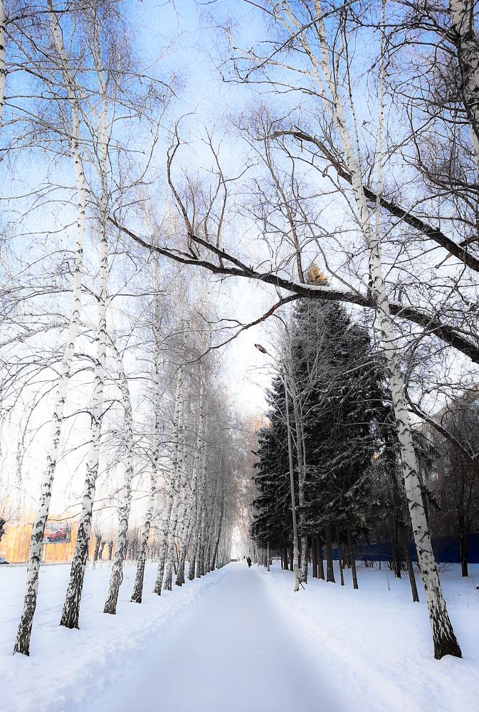 Photograph by Екатерина Дьяченко