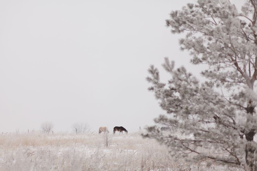 Photograph by Ольга Тучкова