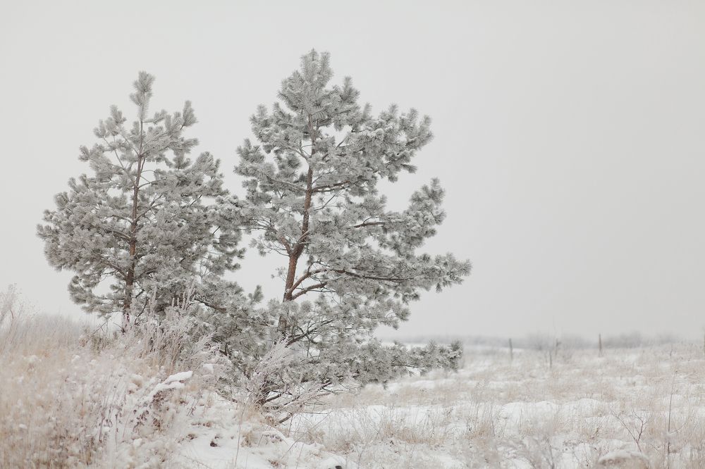 Photograph by Ольга Тучкова