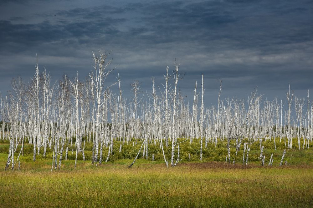 Photograph by Дмитрий Алексеев