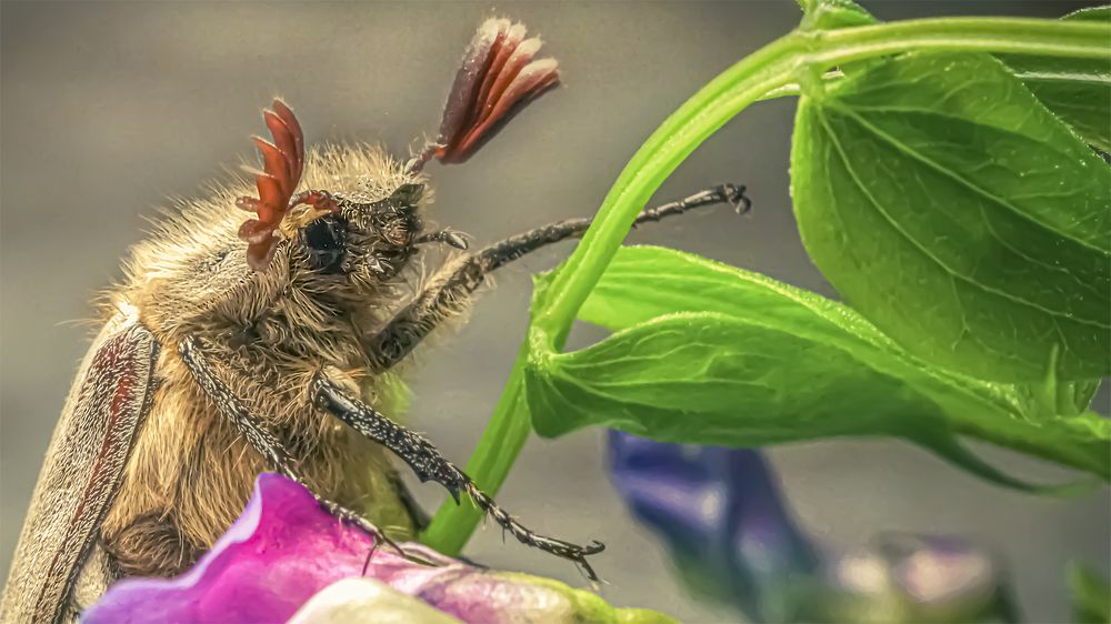 Photograph by Андрей Иванов