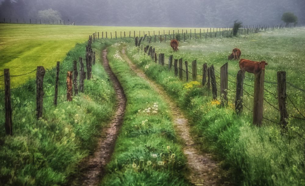 Photograph by Guy Krier