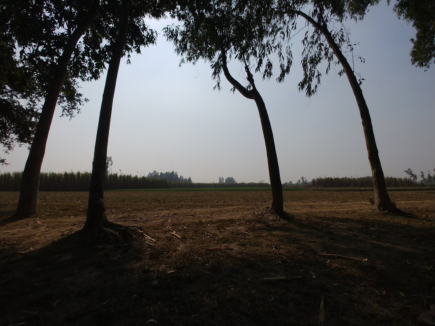 Photo #5698722