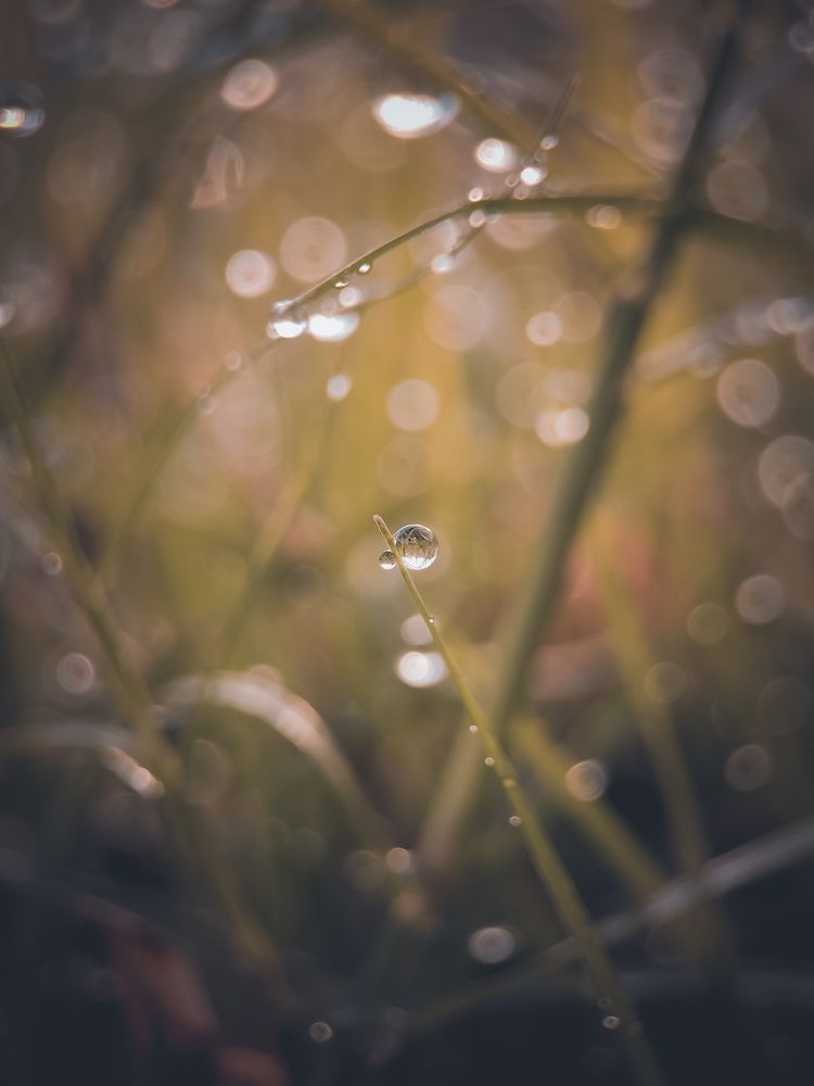 Photograph by Ida Noviyantie