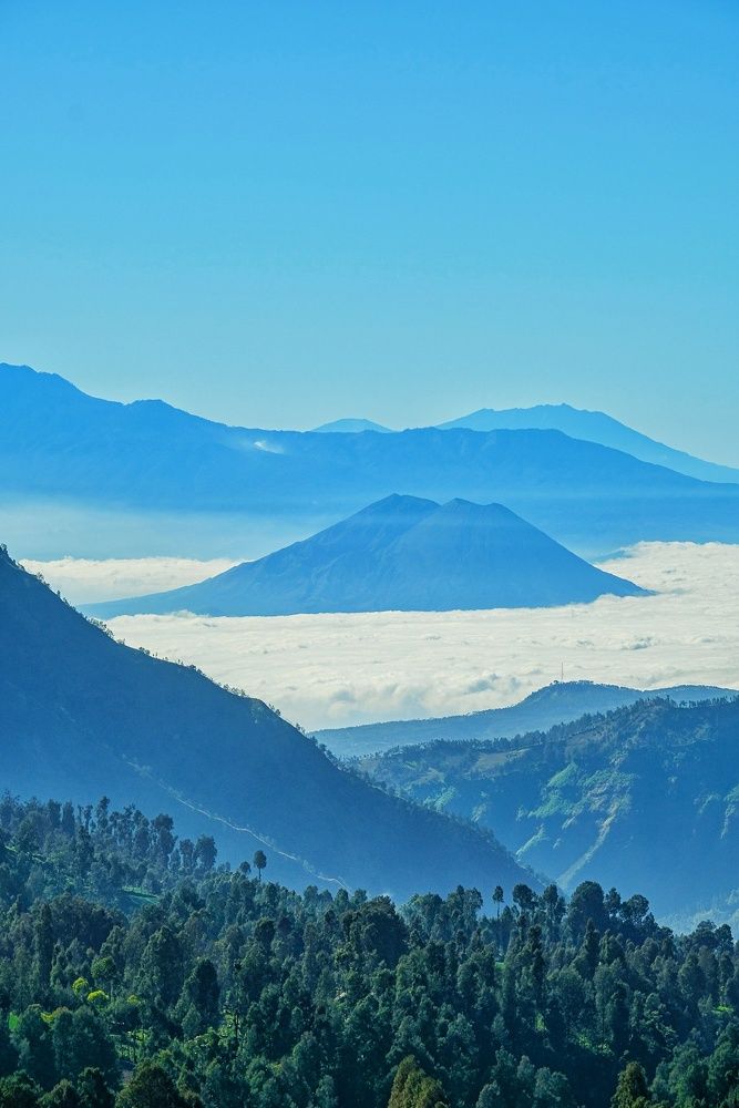 Photograph by Nurmaliyani