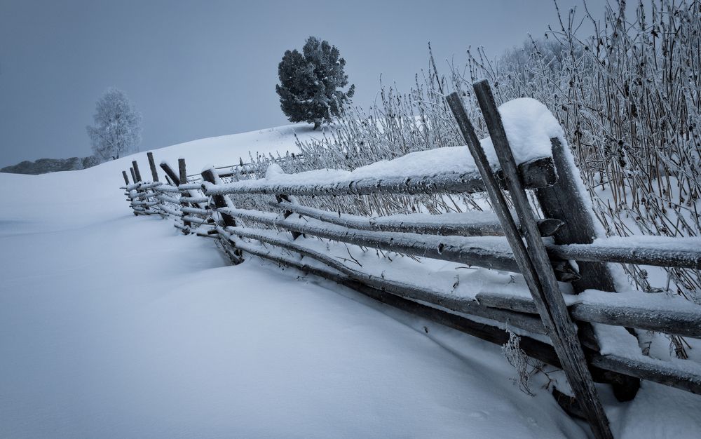 Photograph by Андрей Сердюченко