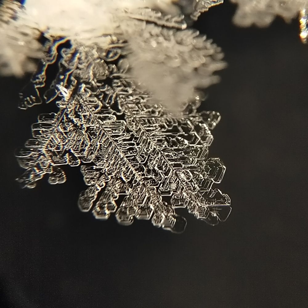 Photograph by Александра Лукашевич