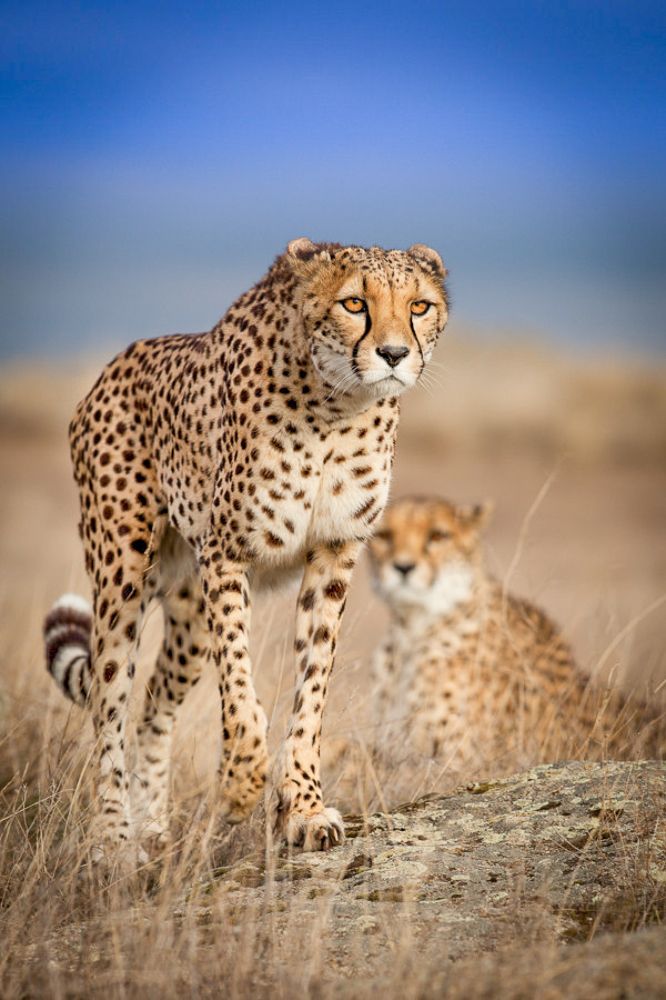 Photograph by Avani Dhanani