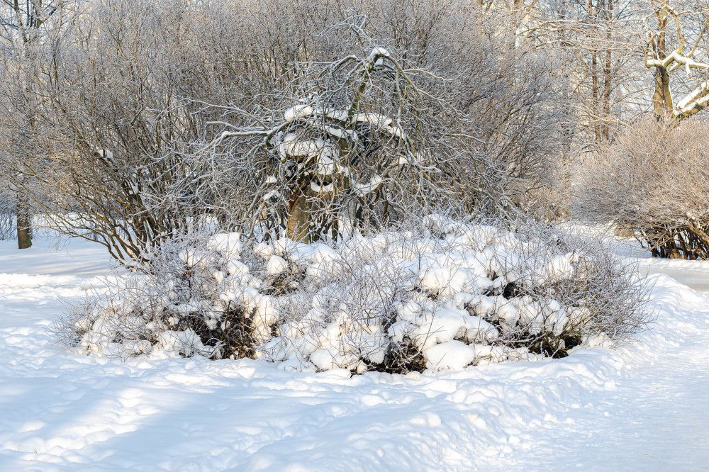 Photograph by Irina Rudneva