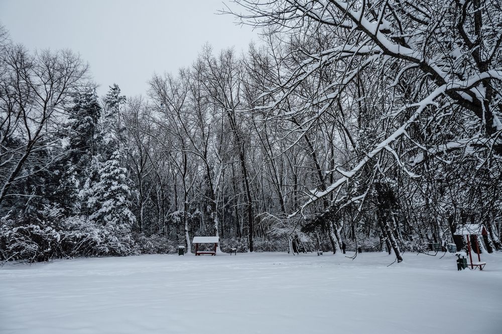 Фотография автора Margharyta