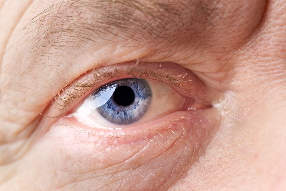 Photograph by Ilja Enger-Tsizikov