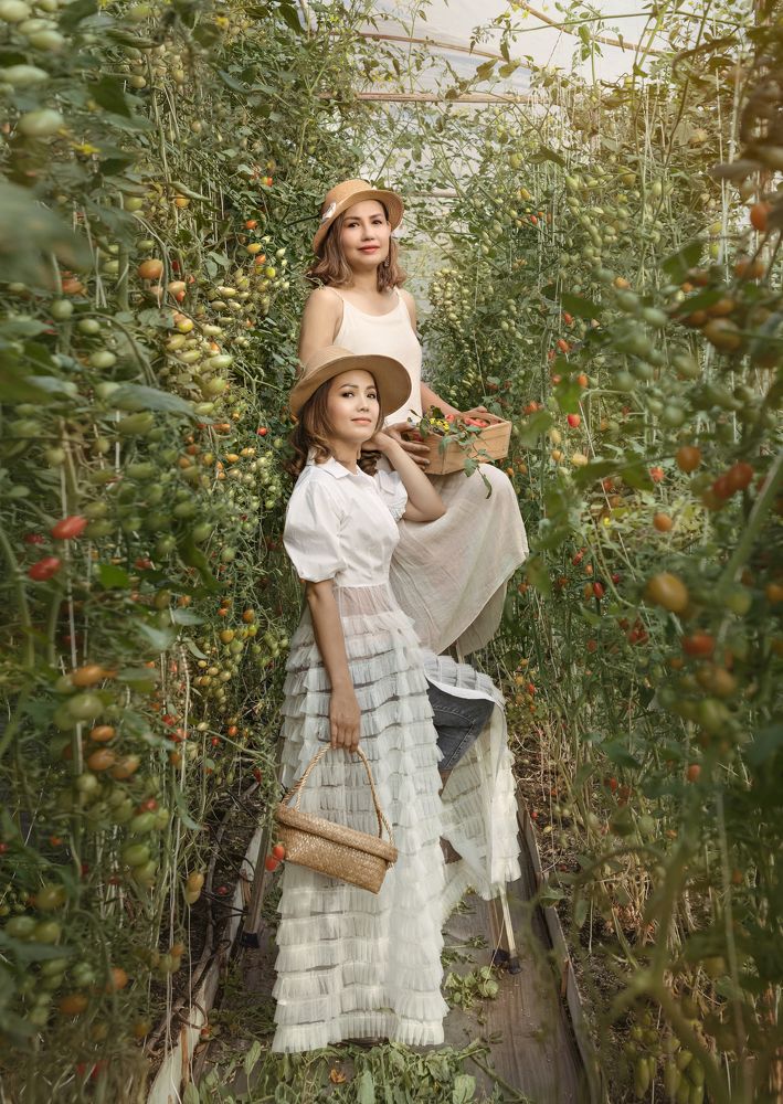 Two pretty woman in tomatoes garden