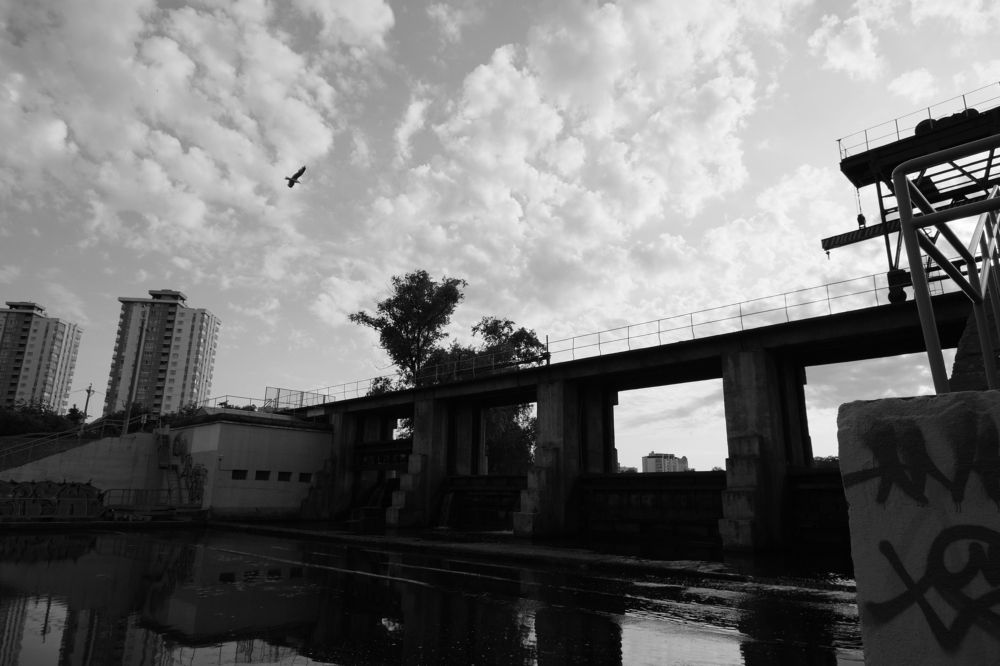 Фотография автора Margharyta