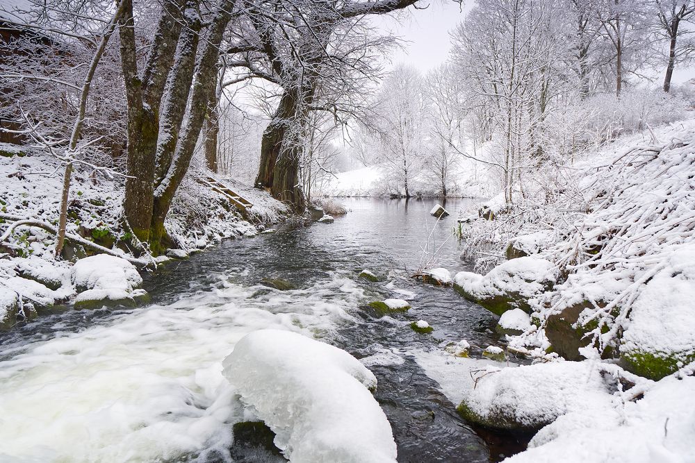 Photograph by Ilja Enger-Tsizikov