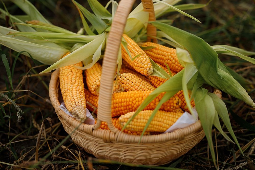 Photograph by Полина Сергеевна