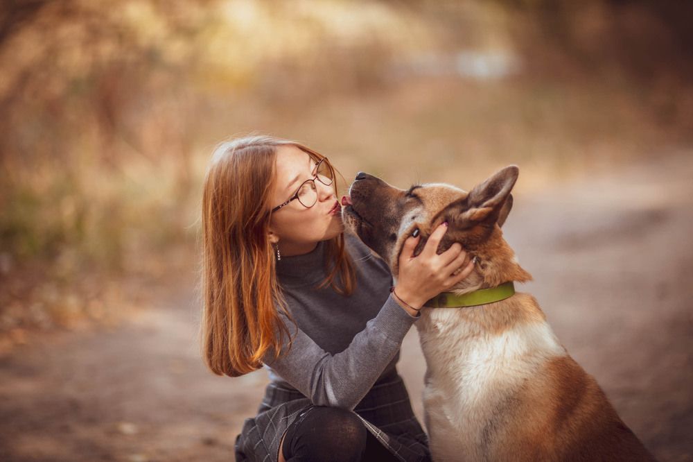 Photograph by Анатолий Климов