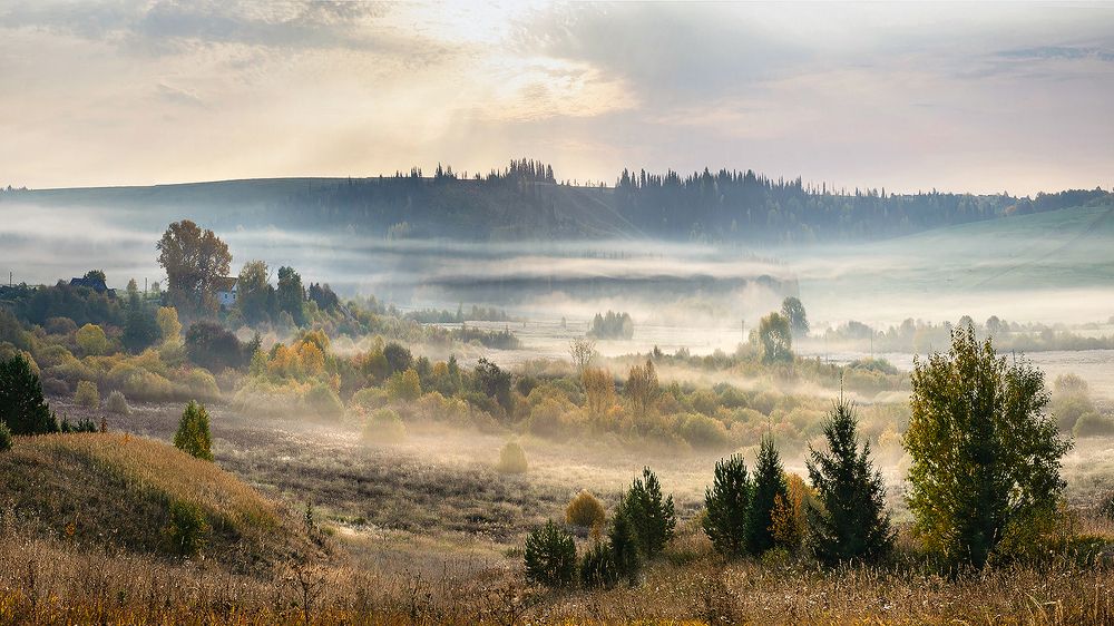 Photograph by Надежда Колеватова