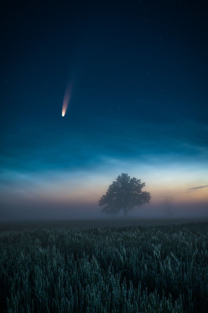 Photograph by Jānis Paļulis