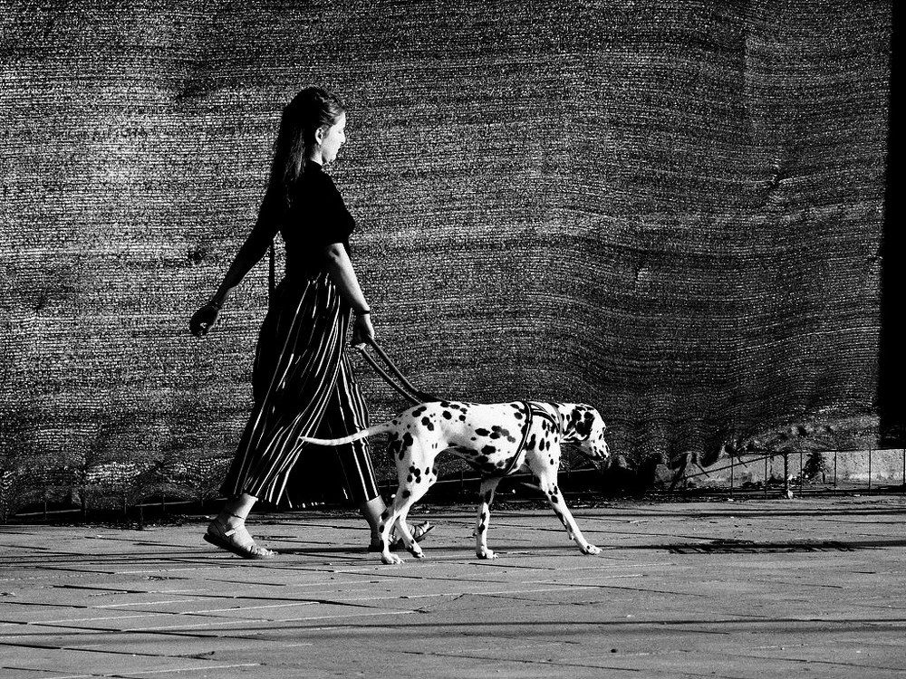 Photograph by Apostolos Liakopoulos