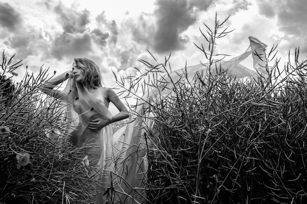 Photograph by Ferdinand Studio