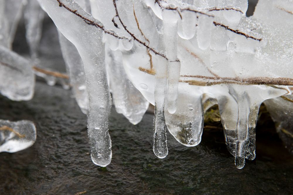 Photograph by Louis Sauter