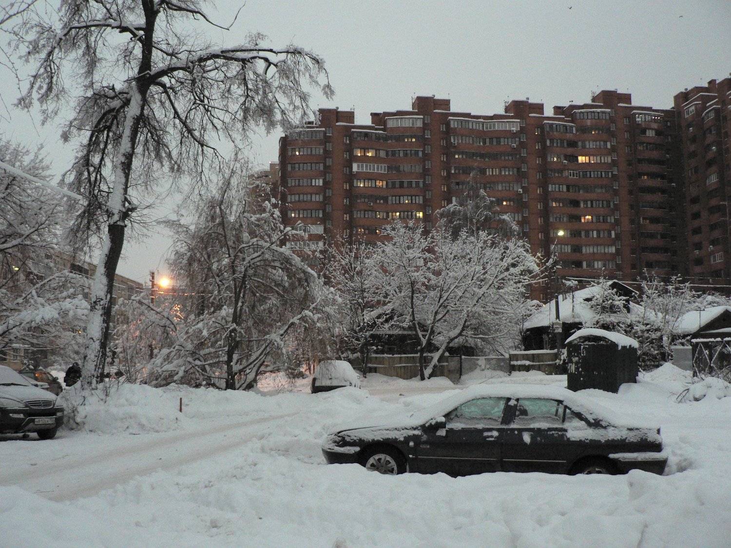 Photo #5699512