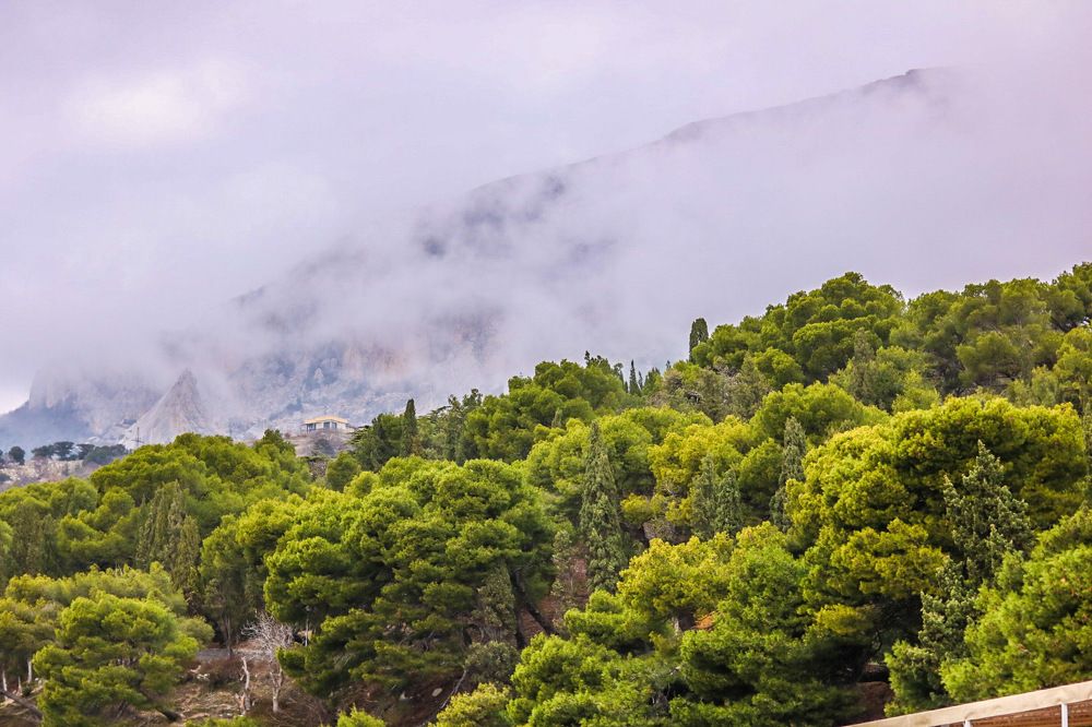 Зима в Крыму