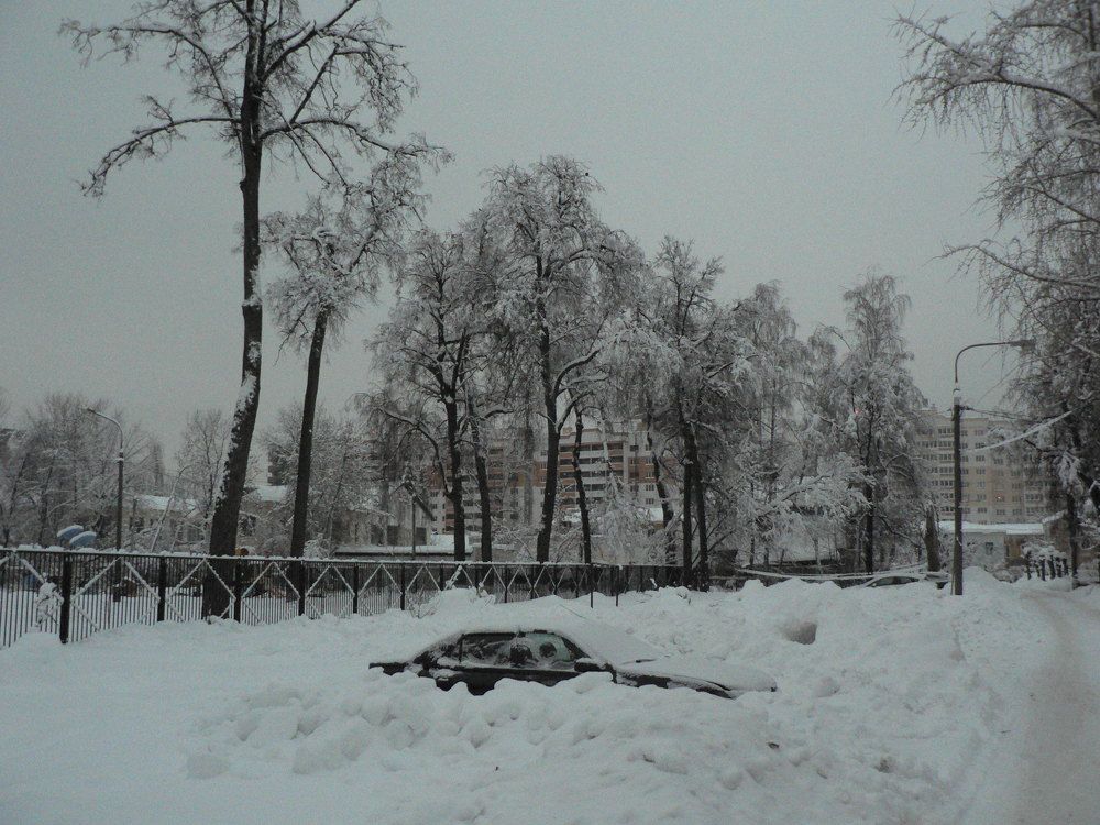 Photo #5699558