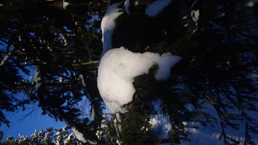 Photograph by Ангелина