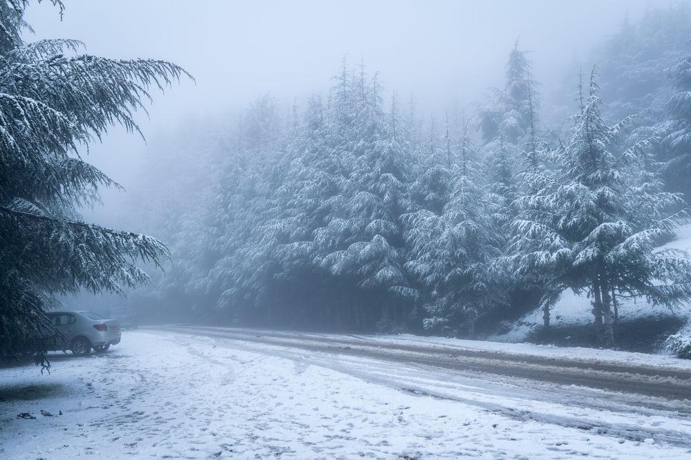 Photograph by MADJID MESSAOUD KHELIFI