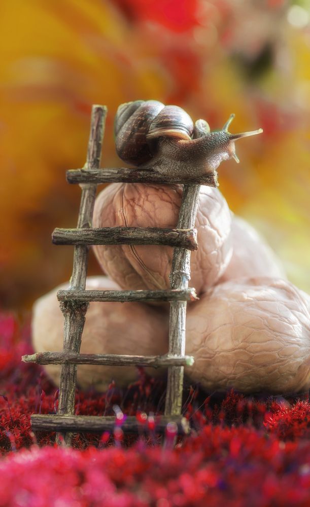 Осенний урожай