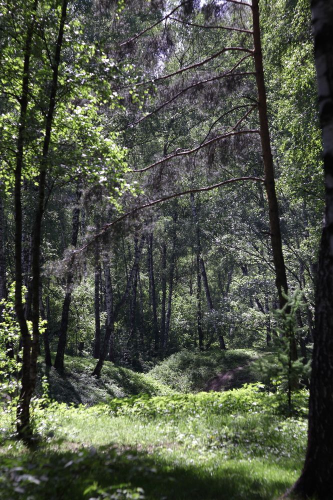 Photograph by Константин Лагоденко