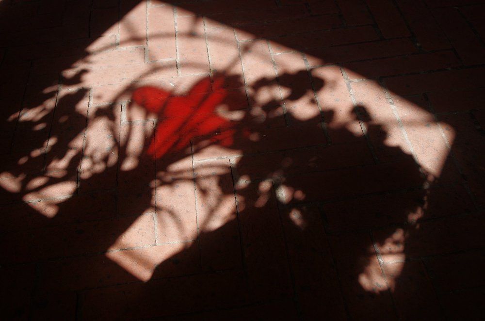 Photograph by Вячеслав Сачков