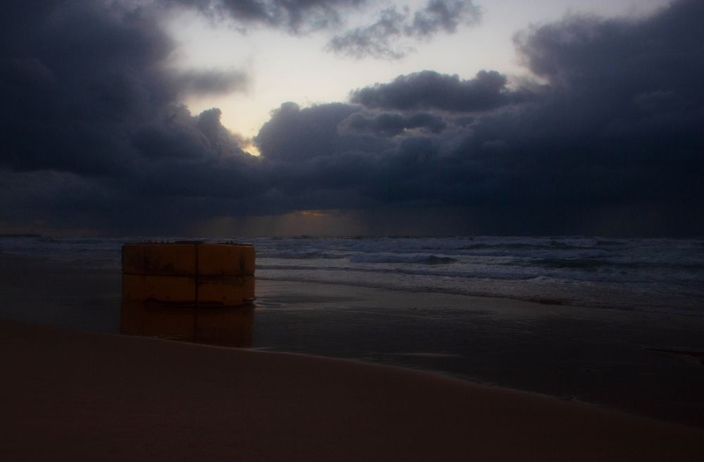 Photograph by Alexandra Esh