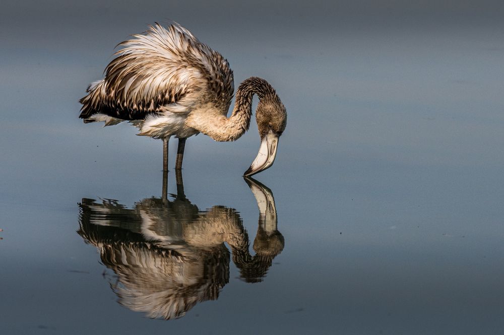 Photograph by Sunil Dhar