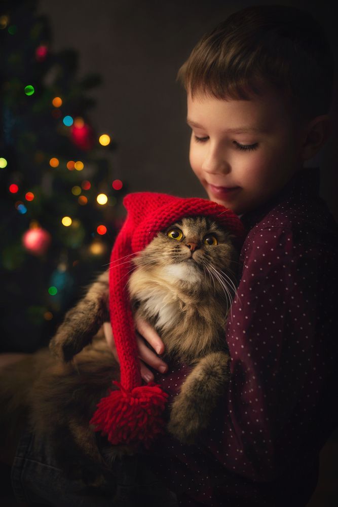 Photograph by Ирина Назарова