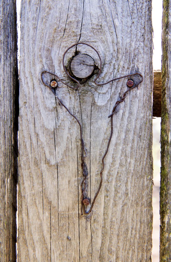 Photograph by MIHAI EUGEN