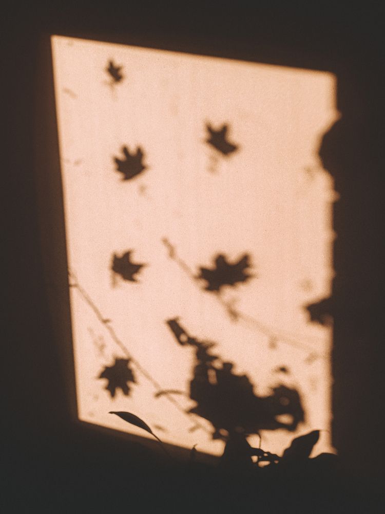 Фотография автора Juli Vvelentini