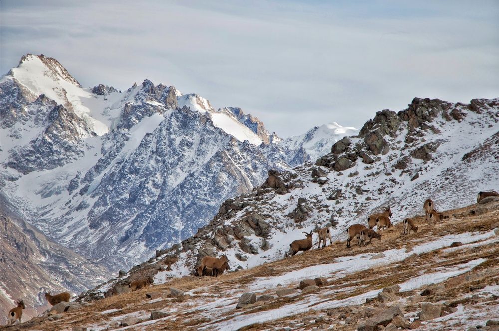 Photograph by Родион