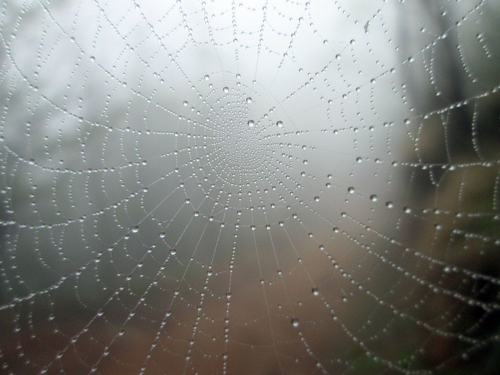 Photograph by Abdolreza Aleagha