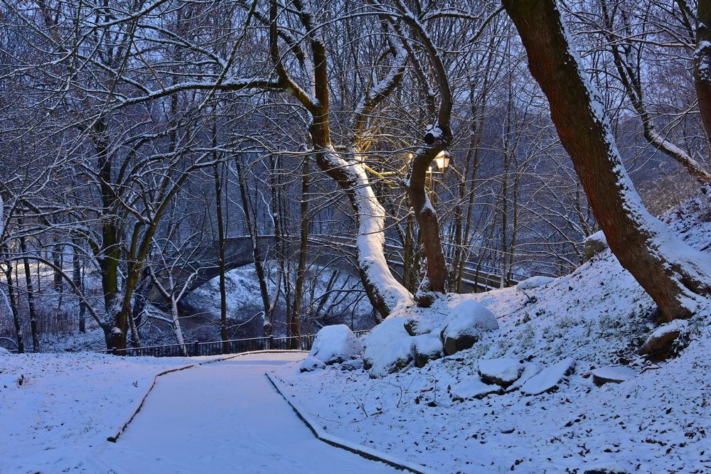 Photograph by Ирина Алексеева