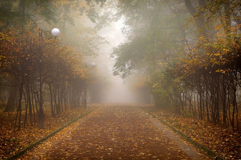 Photograph by Pavlo Lys