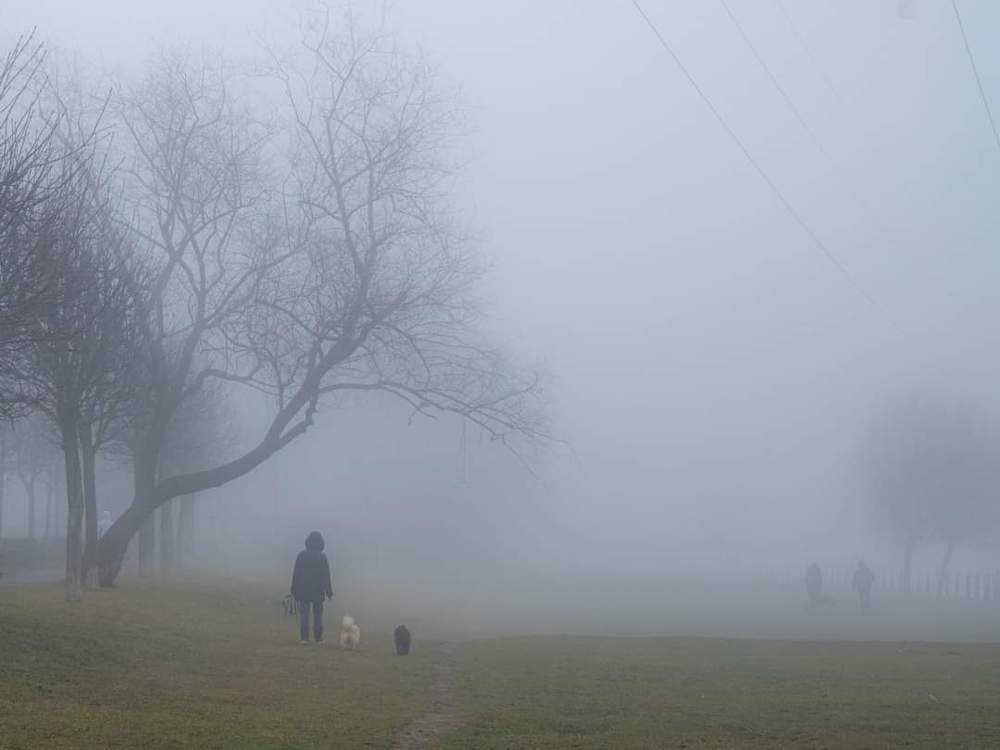 Walking through the fog