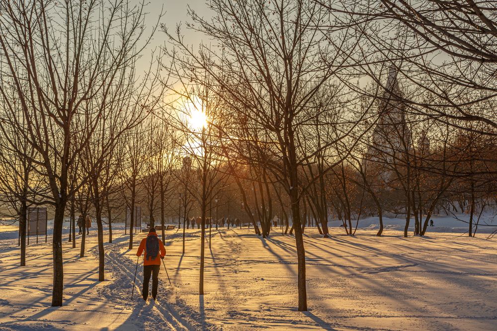 Фотография автора Виктор Вагнер