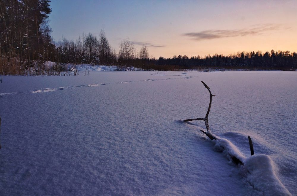 Photograph by Владимир Шатов
