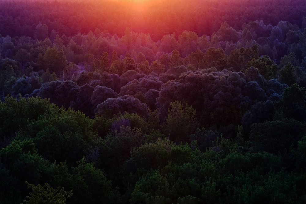 Photograph by Наталья Городилова