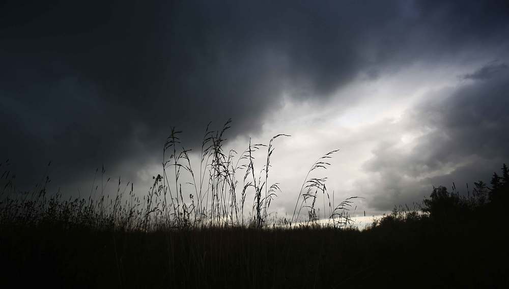 Перед грозой